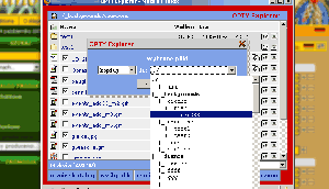 OPTY Explorer - zarządzanie plikami na serwerze